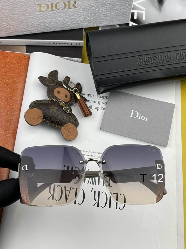 DIOR Sunglasses 406